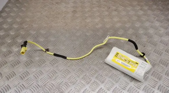 Lexus RX III Seat airbag 7394048020