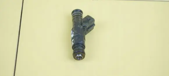 Land Rover Range Rover L322 Fuel injector 1707843 6SP47