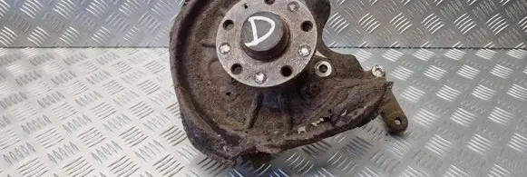 Volkswagen Golf V Rear wheel hub spindle/knuckle 