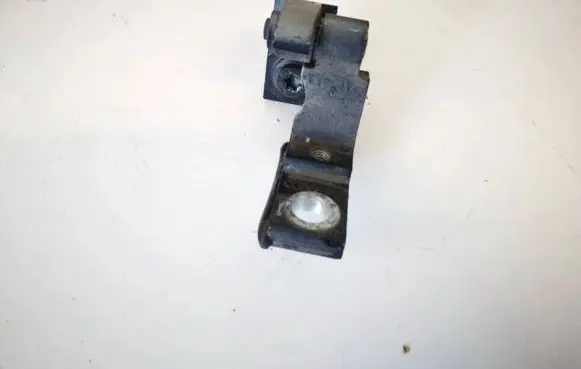 Audi A4 S4 B6 8E 8H Rear door lower hinge