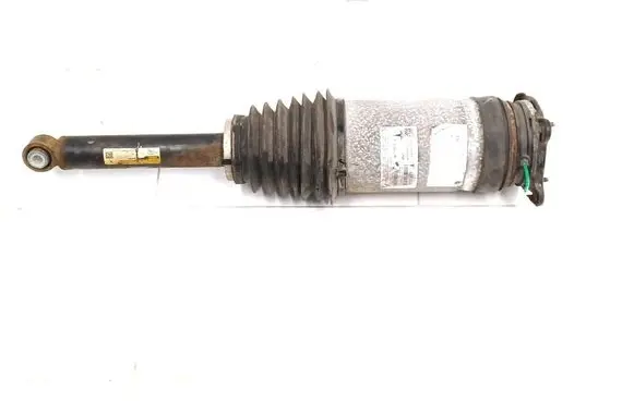 Tesla Model S Rear shock absorber with coil spring 1067466-25-C