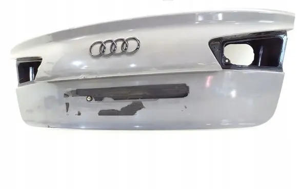 Tailgate/trunk/boot lid