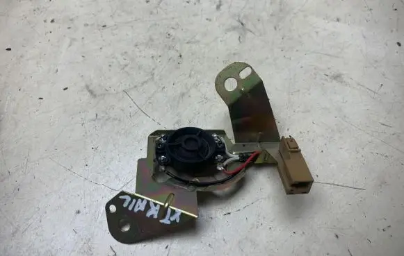 Panel speaker