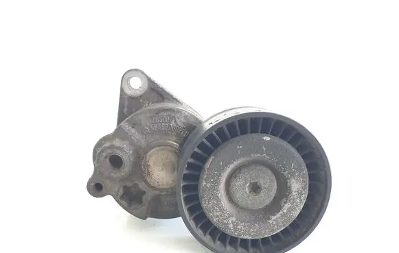 Mercedes-Benz Sprinter W906 Timing belt/chain tensioner A6462000270