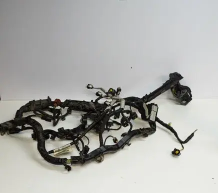 Ford Ecosport Engine installation wiring loom GN1512C508