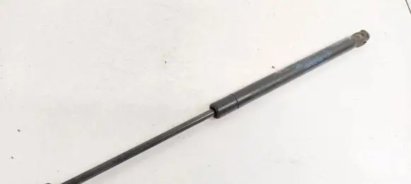 Front bonnet/hood damper/strut