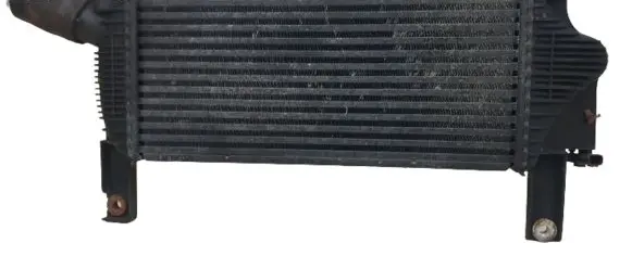 Nissan Pathfinder R51 Intercooler radiator 14461EB360