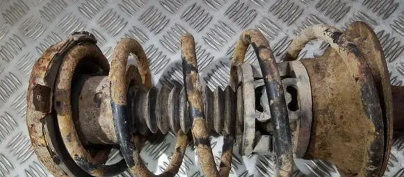 Renault 19 Front coil spring