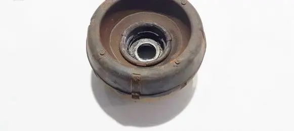 Coil spring mount