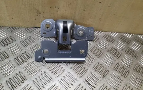Tailgate/trunk/boot hinge