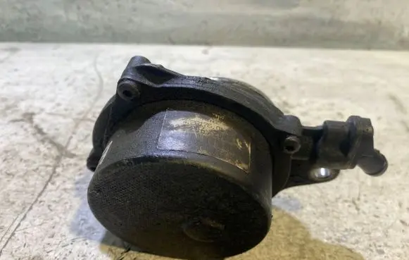 BMW 3 E46 Vacuum pump 72817601 024206203