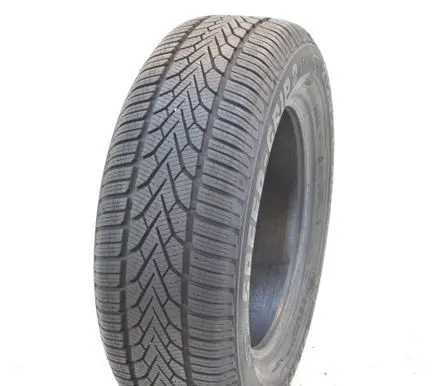Toyota RAV 4 (XA30) R16 winter tire 