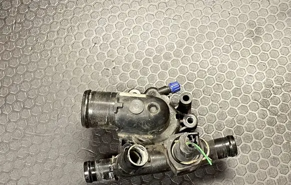 Thermostat/thermostat housing
