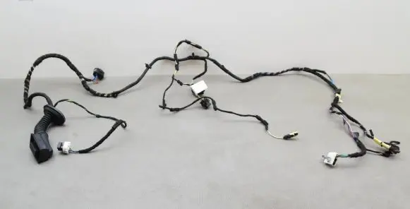 Front door wiring loom