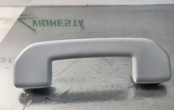 Front interior roof grab handle