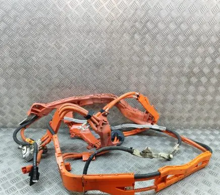 Lexus GS 250 350 300H 450H Other wiring loom 8216430190