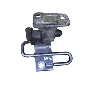 Volkswagen PASSAT B6 Rear door lower hinge 