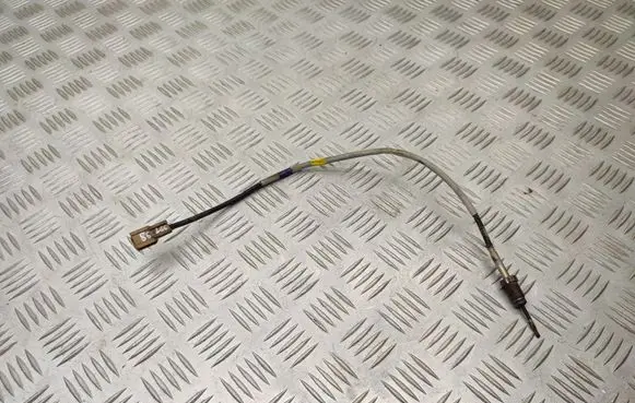 Suzuki Grand Vitara II Exhaust gas temperature sensor 