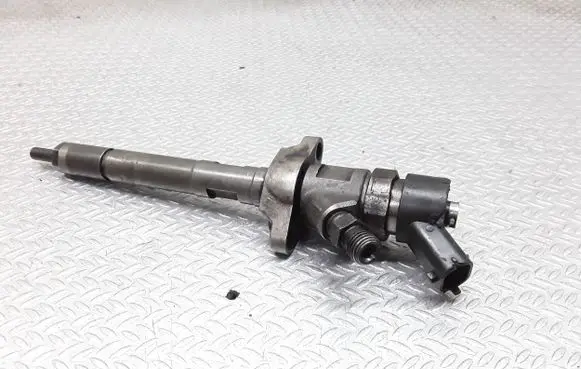 Citroen C5 Fuel injector 0445110259