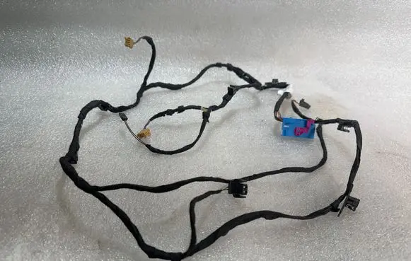 Front door wiring loom