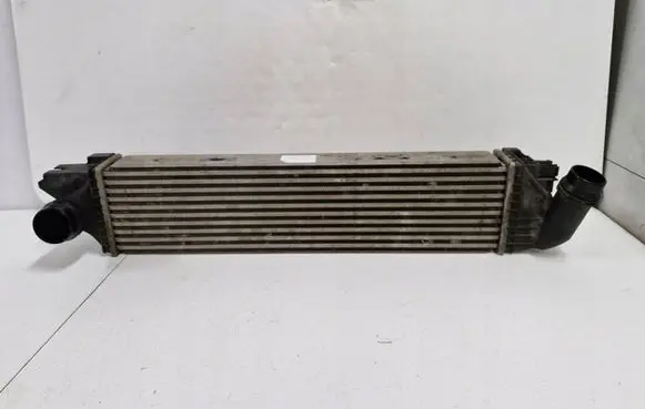 Renault Trafic III (X82) Intercooler radiator