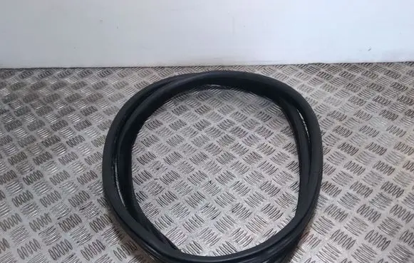 BMW X6 F16 Rubber seal rear door 7317822