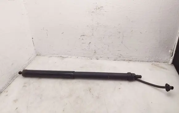 Toyota RAV 4 (XA50) Tailgate/trunk strut/damper 6891042060 2012440229