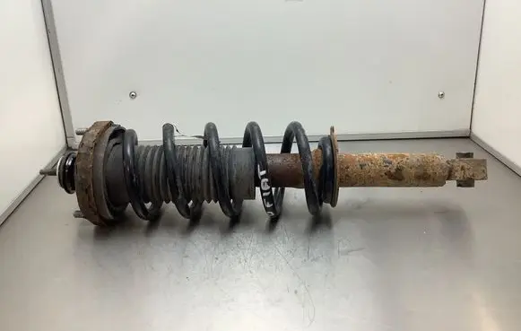 Fiat Freemont Rear shock absorber with coil spring