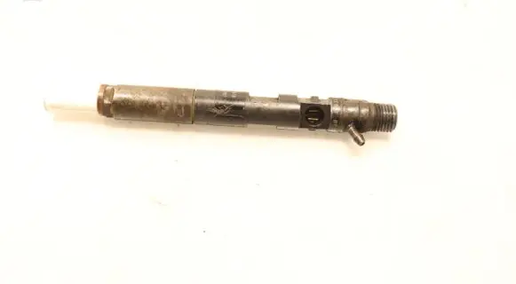 Renault Clio III Fuel injector EJBR05102D