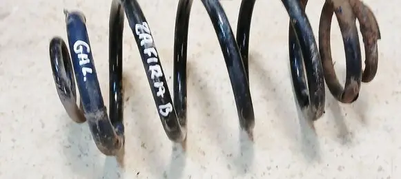 Rear coil spring