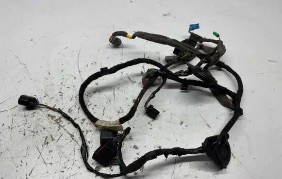 Rear door wiring loom