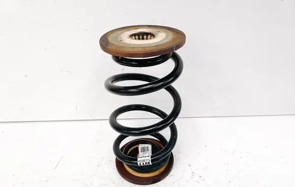 Buick Encore I Rear coil spring 42398115