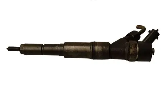Citroen Berlingo Fuel injector 0445110049 7785983
