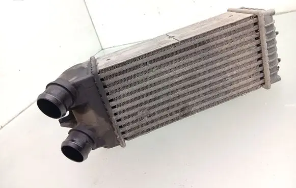 Intercooler radiator