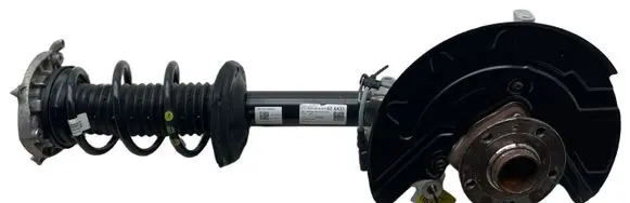 Cupra Born Front shock absorber/damper 1EA407254H