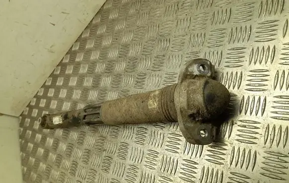 Cupra Born Rear shock absorber/damper 1EA512011AG