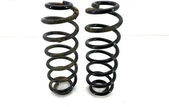 Volkswagen PASSAT B6 Rear coil spring