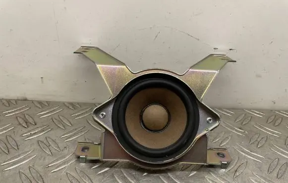 Panel speaker