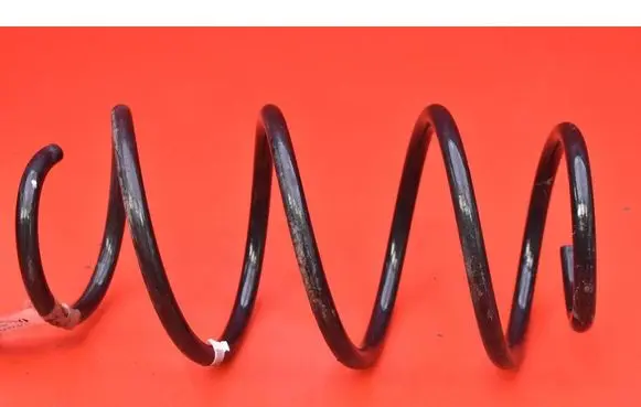 Ford Focus Front coil spring 