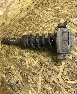 Porsche Cayenne (9PA) Rear shock absorber/damper