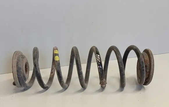 Volkswagen PASSAT B6 Rear coil spring