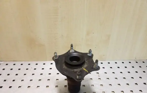 Coil spring mount