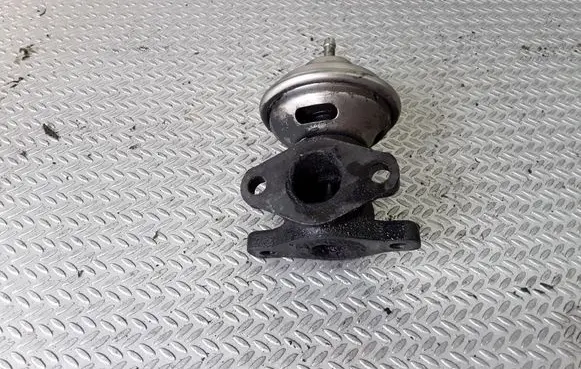 Volkswagen PASSAT B4 EGR valve 028131501F