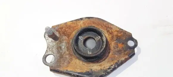 Coil spring mount