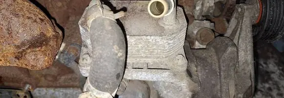 Ford Focus Engine oil radiator 