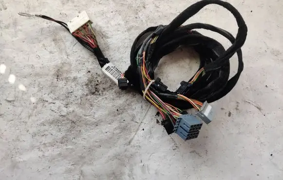 Other wiring loom
