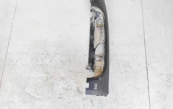 Rear/tail light trim molding