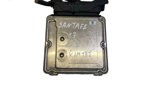 Hyundai Santa Fe Engine control unit/module 391162F350 391012F350 0281019248
