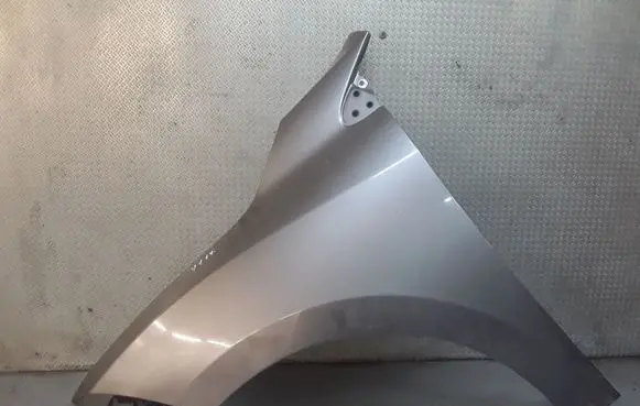 Renault Megane III Fender