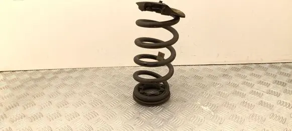 Tesla Model Y Rear coil spring 118847600B
